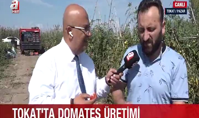 Tokat Domatesinin Sırrı: Ata Tohumu ve Bölgenin İklimi